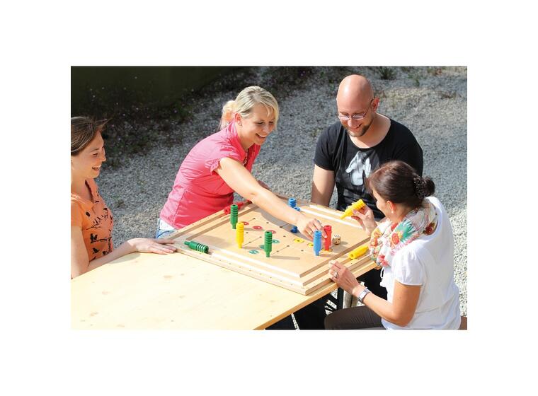 Pedalo Großbrett-Spielesammlung 