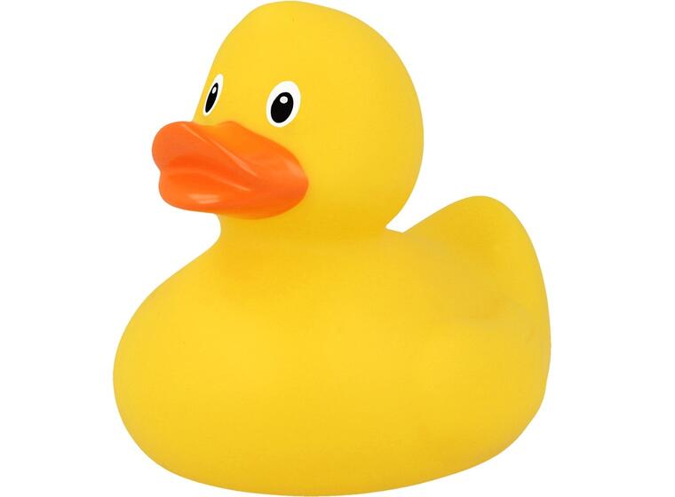 Classic Duck 