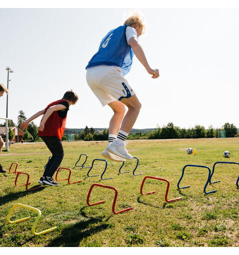 Treeni-aita mini (6 kpl) Agility hurdle 15 cm