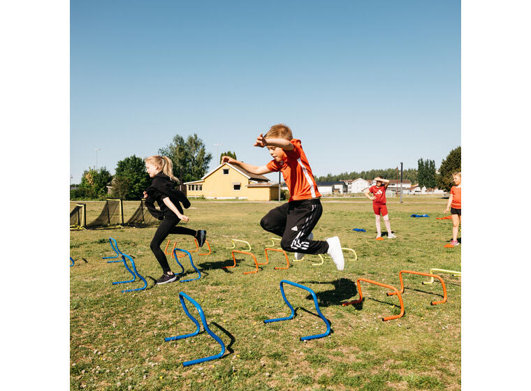 Treeni-aita mini (6 kpl) Agility hurdle 15 cm 