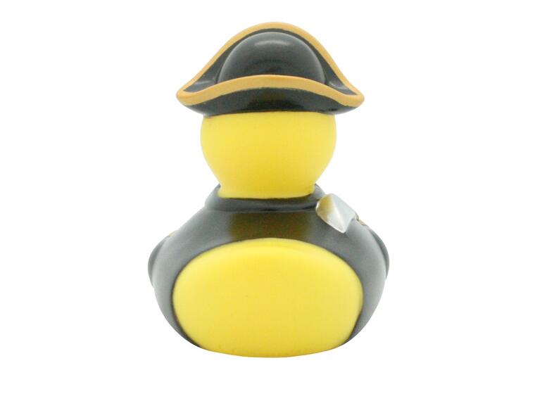 Pirate Captain Duck 