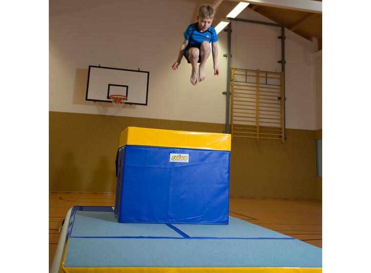 Reivo | Rinogym Hyppylaatikko 120x100x100 cm 
