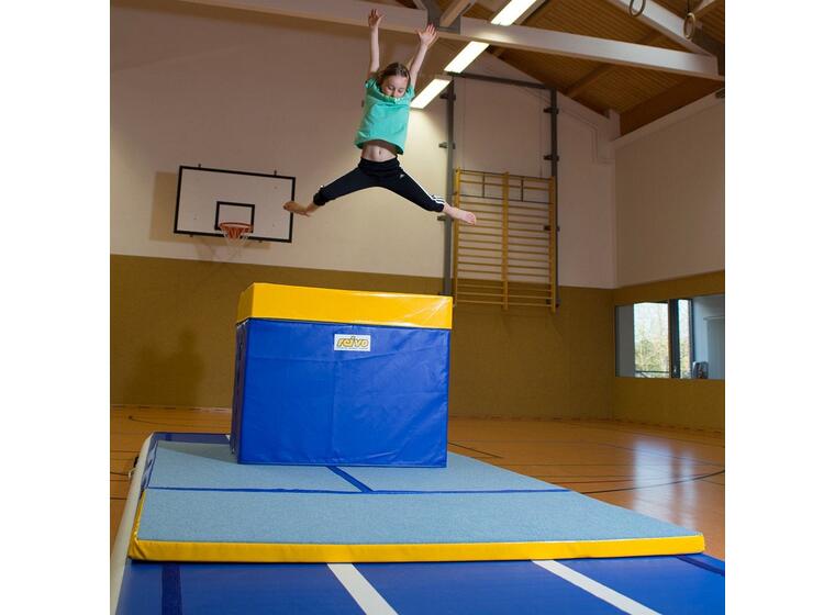 Reivo® Rinogym® Vaulting Table 