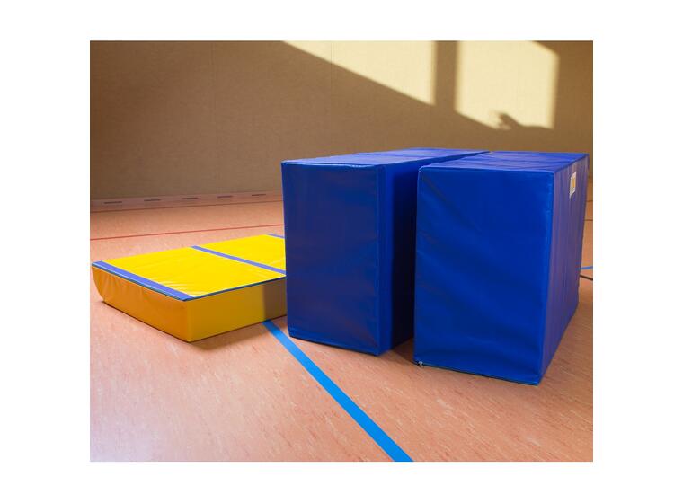 Reivo® Rinogym® Vaulting Table 