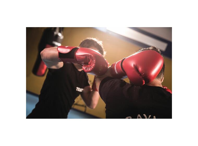 Sport-Thieme® "Workout" Boxing Gloves, 1 8 oz - 10 oz - 12 oz - 14 oz 