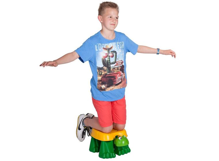 Gymnastics Turtle 