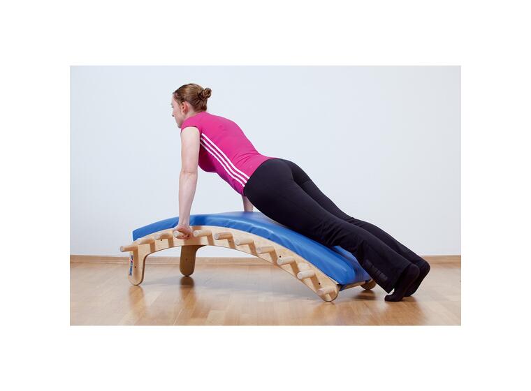 Sport-Thieme® Selkäkaari "Edgar" Selkäkaari terapia- ja kuntoutuskäyttöön 