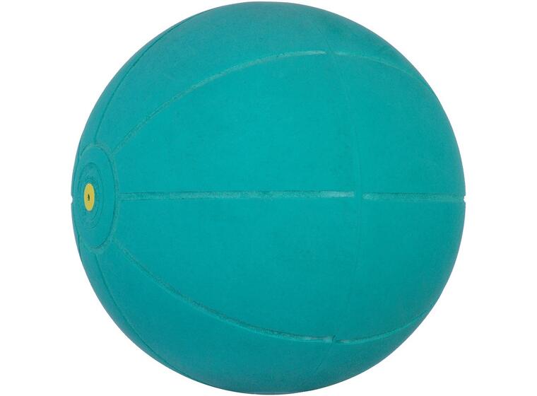WV Medicine Ball – The  Original! 