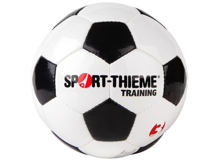 Fotball Sport-Thieme Training 3 Treningsball | Gress | Syntetisk lær 