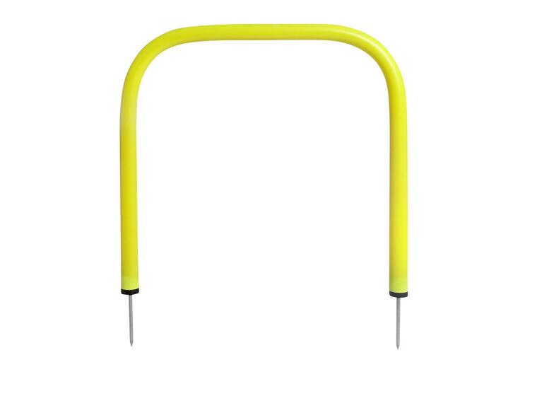 Pasningsport 