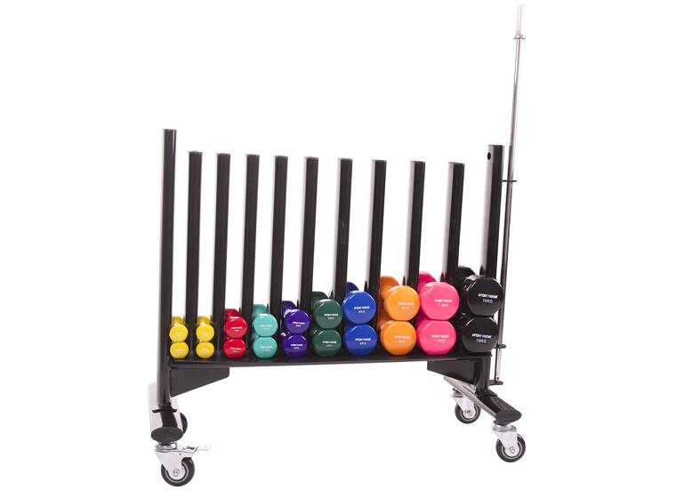 Sport-Thieme® Mobile Storage  Stand for Gym Weights, Large 
