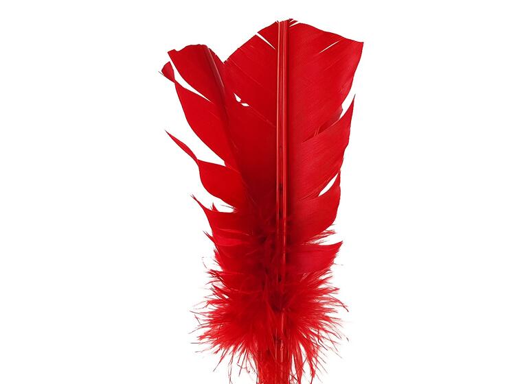 Indiaca® "Tournament" Ball 