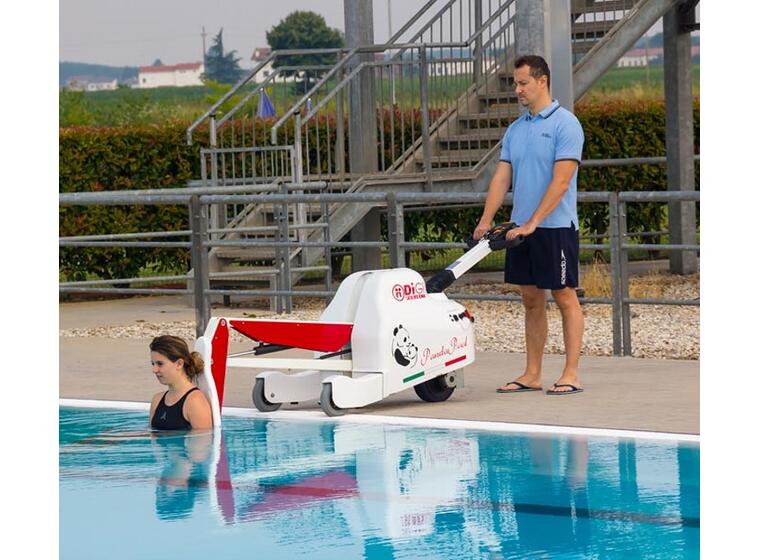 Pool Lift Digi PandaPool 