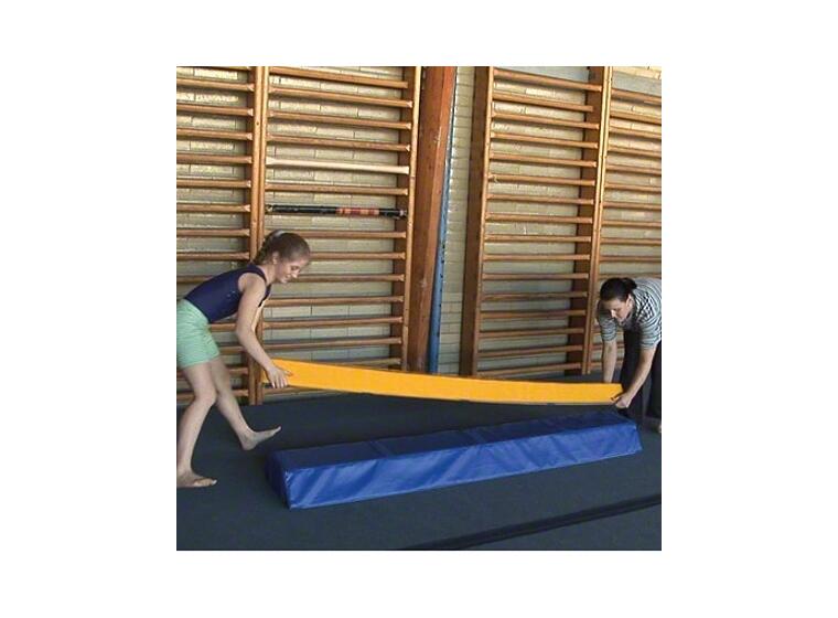 Reivo® Rinogym® Balance Beam 