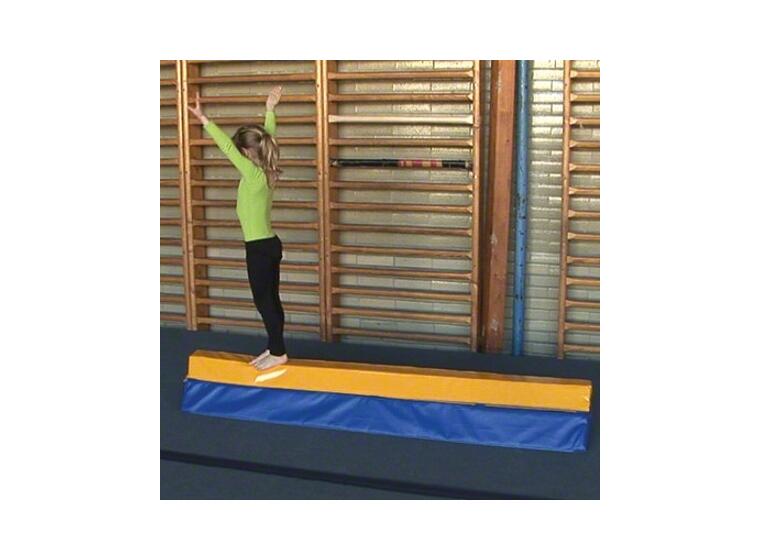 Reivo® Rinogym® Balance Beam 