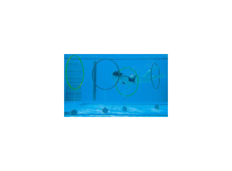 Sukellusrenkaan paino 1 kpl | 2 kg 