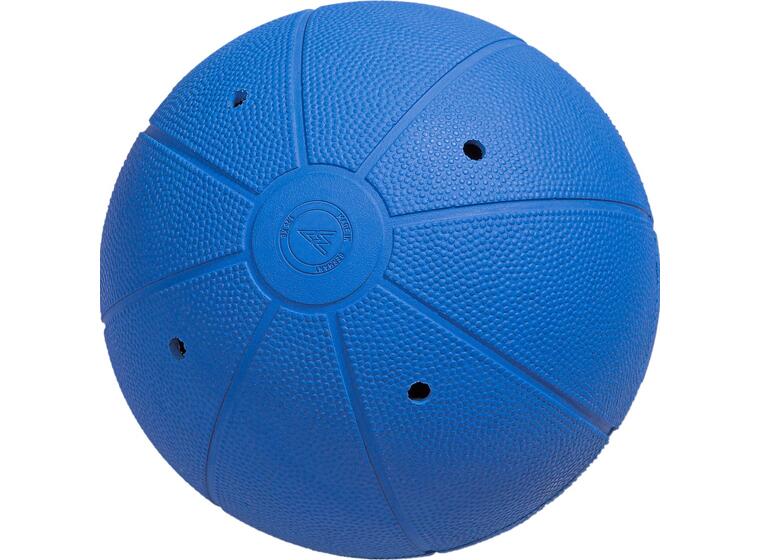 WV Goalball 