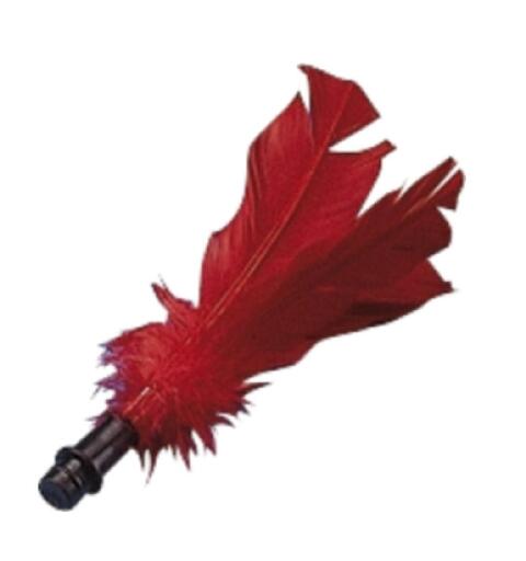 Replacement Feathers