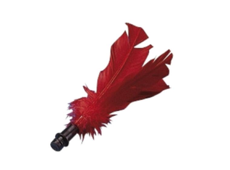 Replacement Feathers 