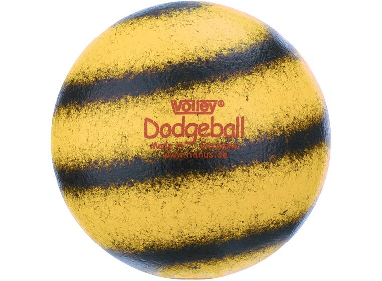Volley® Dodgeball 