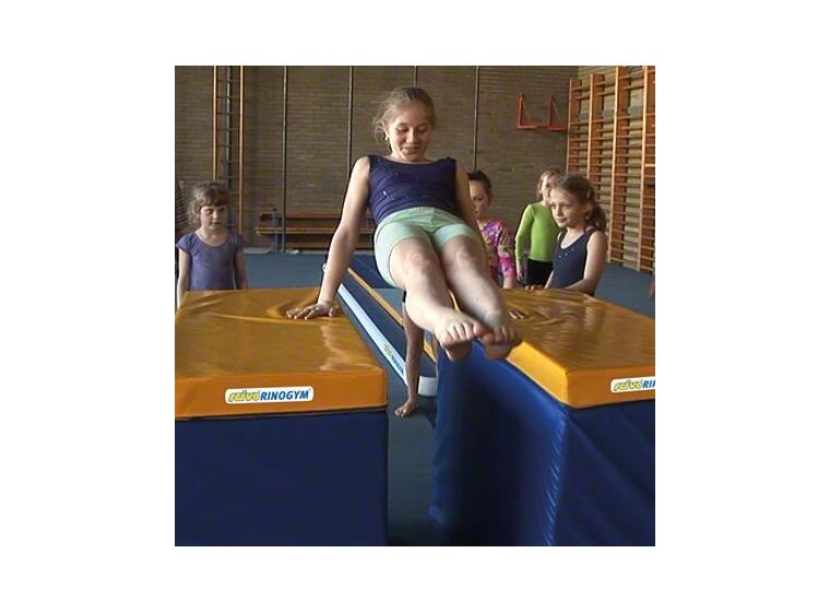 Harjoitusnojapuut Reivo® Rinogym® 120x150x80 cm 