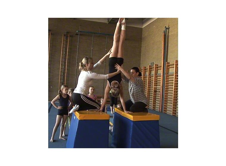 Harjoitusnojapuut Reivo® Rinogym® 120x150x80 cm 