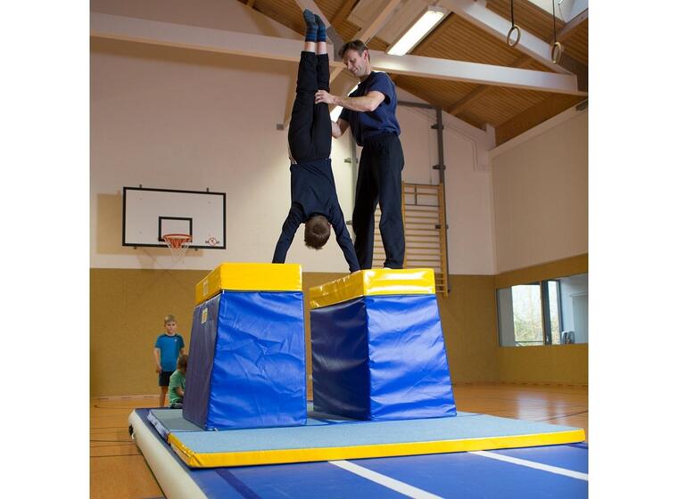 Harjoitusnojapuut Reivo® Rinogym® 120x150x80 cm 