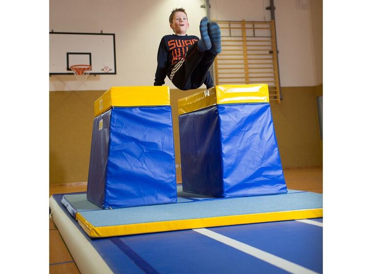 Harjoitusnojapuut Reivo® Rinogym® 120x150x80 cm 