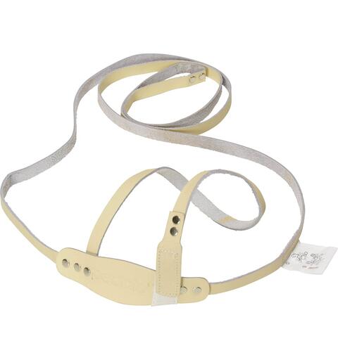 Horses Harness