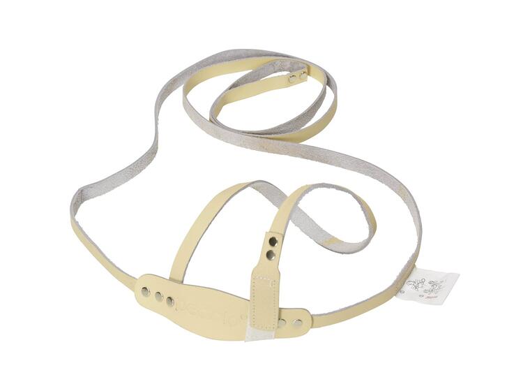 Horses Harness 