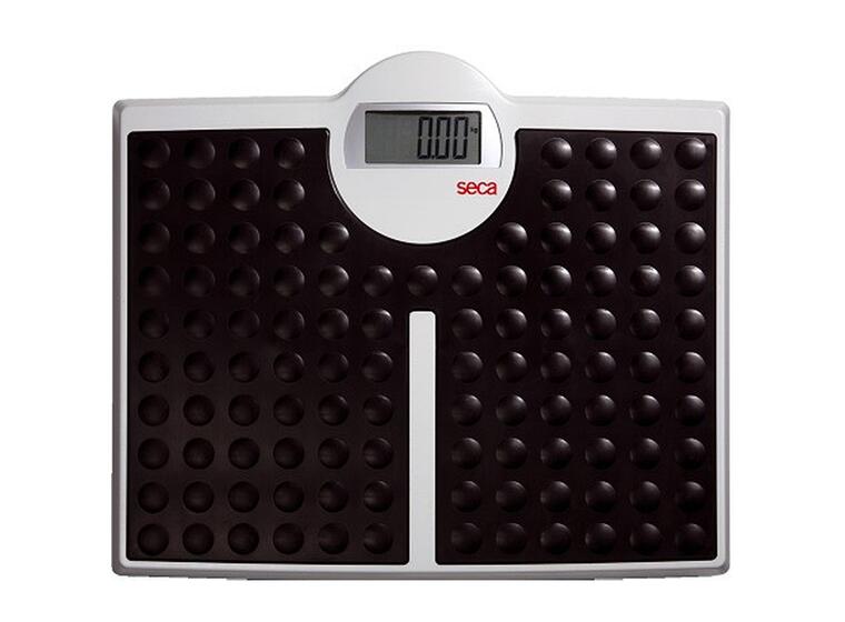 Seca® Flat Scales "813" 