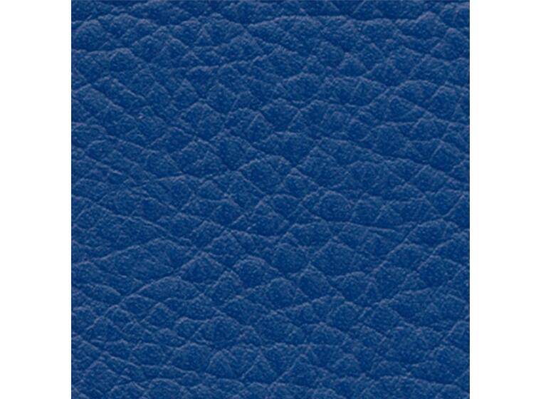 Sport-Thieme | Psoas-tyyny 50x45x40 cm | Sininen 