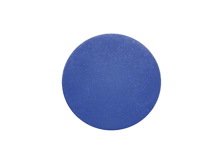 Sport-Thieme® Physio Ball Blue – firm 