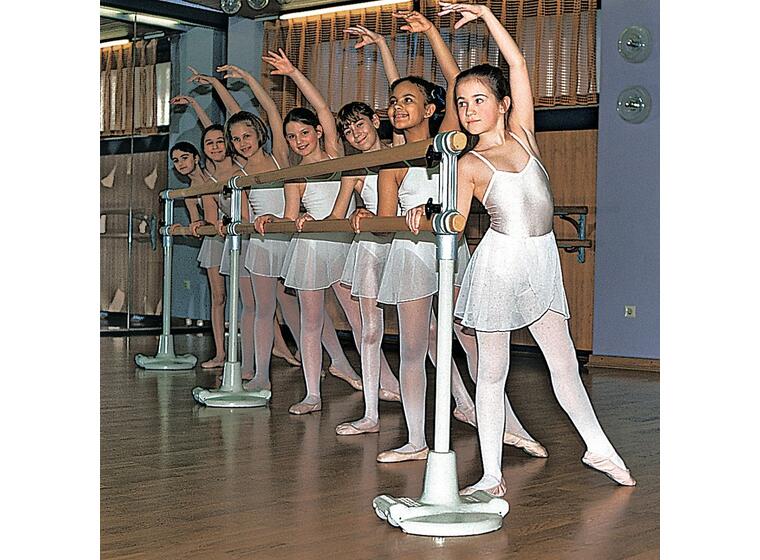 Braig Ballet Barre 