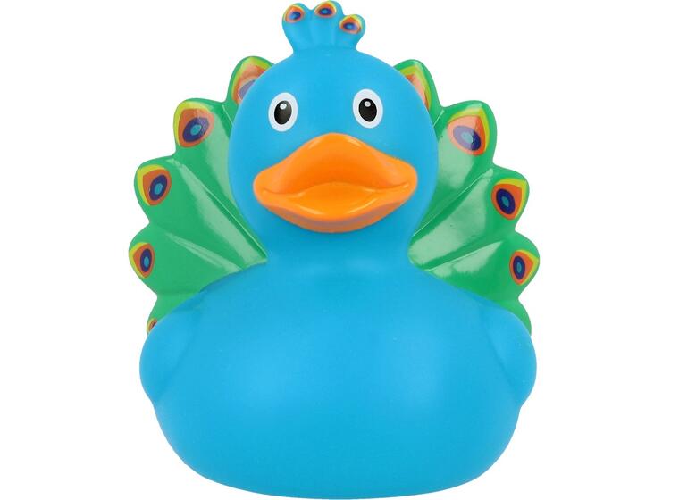 Peacock Duck 