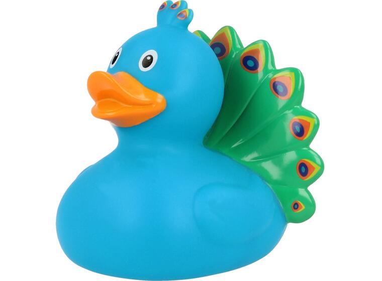 Peacock Duck 