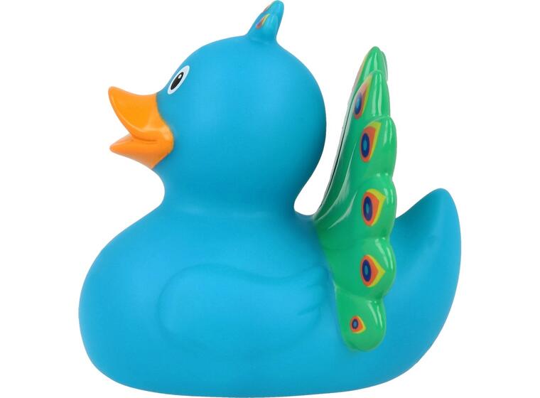 Peacock Duck 