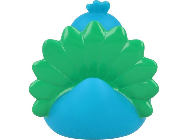 Peacock Duck 