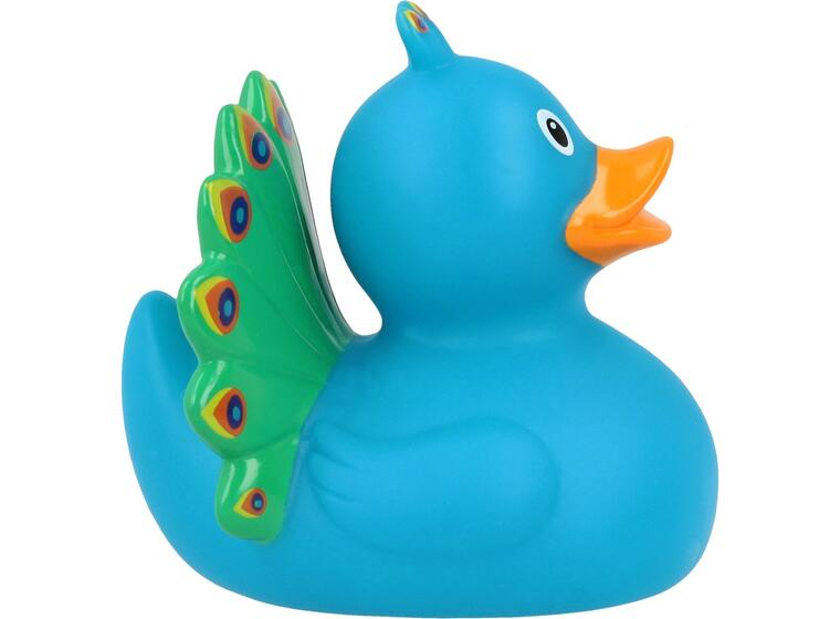 Peacock Duck 