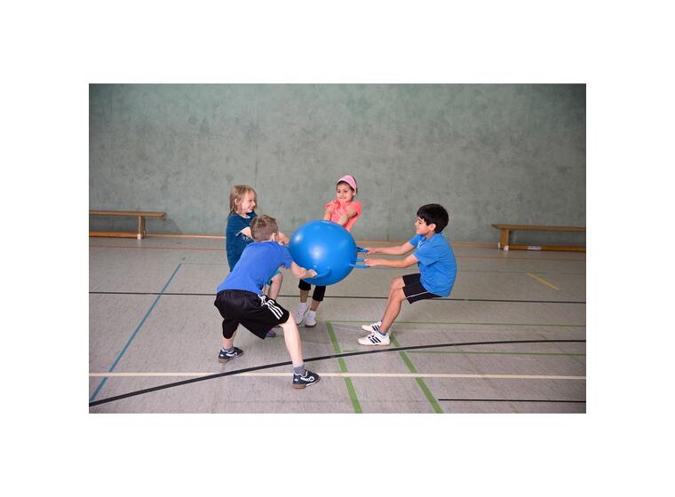 Rengaspallo Kollektiivinen pallo 