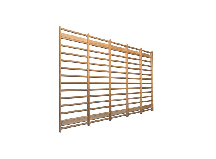 Gym wall-bar 