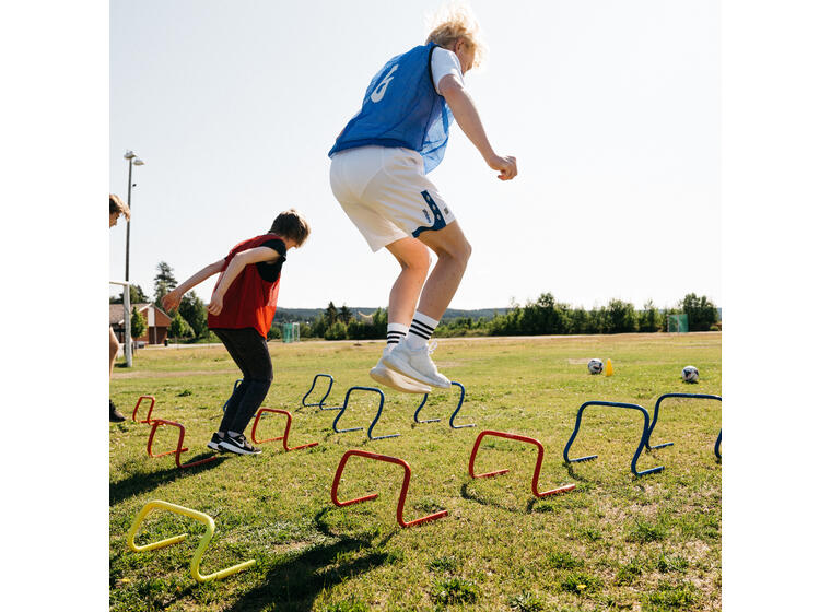 Agility hurdle 6" 