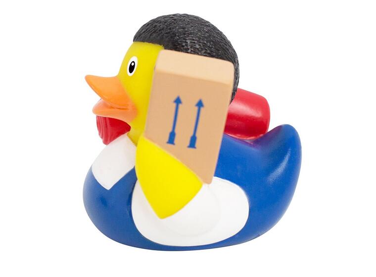 MOVING HELPER DUCK 