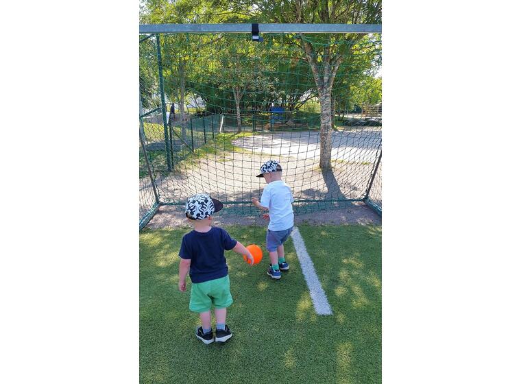 Swing Ping Pong 