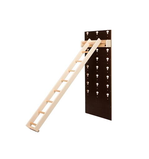 Ladder