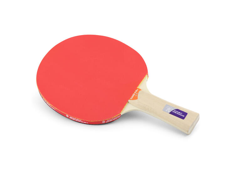 Klubben | Pöytätennismaila Guard Pro P40+ 