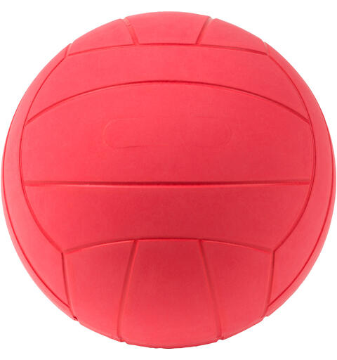 WV Goalball