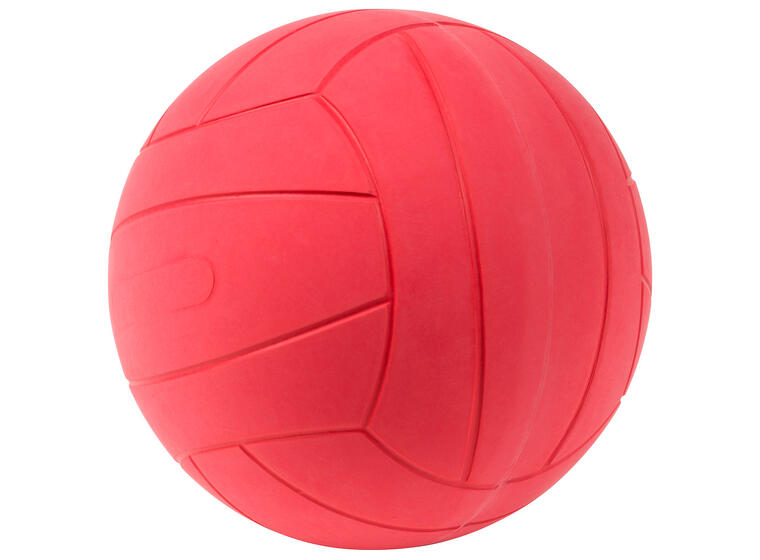WV Goalball 