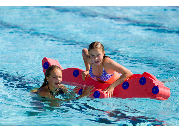 Pool Toys Dragon 