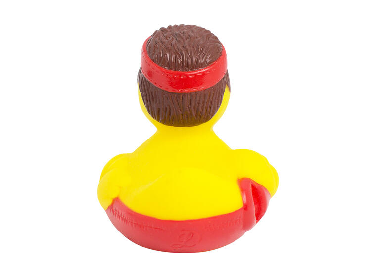 Lifeguard Duck 